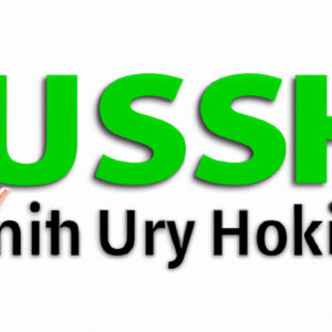 In the world of modern technology, as an IT professional, you might have come across various methods to manage and maintain remote systems. One such vital tool that has been widely utilized is Secure Shell or SSH. If you are eager to know what is an SSH user and how it can make your life easier as a technical programmer guru or simply as a user looking to manage remote systems securely, then this article is specifically tailored for you.