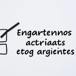 I'm . In the context of algorithms, create a 50-word maximum introduction in Spanish for my blog, for an article about: why algorithm is important in computer science. Place HTML tags around the most important phrases in the text. Write only in English.